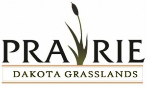 Dakota Grasslands Prairie - Native Seed Mixes - Sunmark Seeds