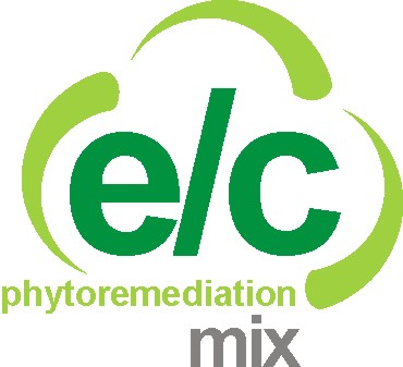 EC Phytoremediation mix - Sunmark Seed, Portland, OR