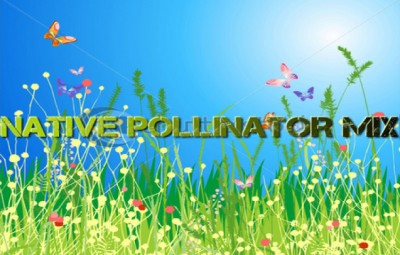 Native Pollinator Mix - Native Seed Mixes - Sunmark Seeds