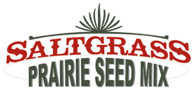 Saltgrass Prairie Seed Mix - Native Seed Mixes - Sunmark Seeds