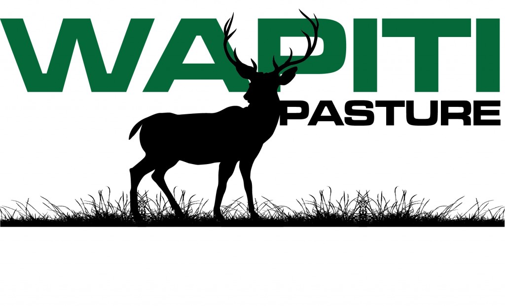 wapiti pasture