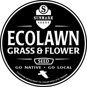 ecolawn grass and flower-05