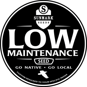 low maintenance-02