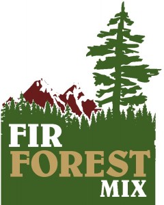 fir forest